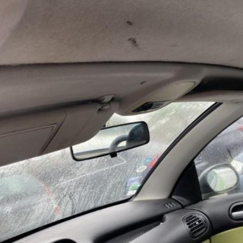 Porte avant gauche PEUGEOT 206 Photo n°15