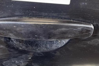 Porte arriere droit DACIA SANDERO 1