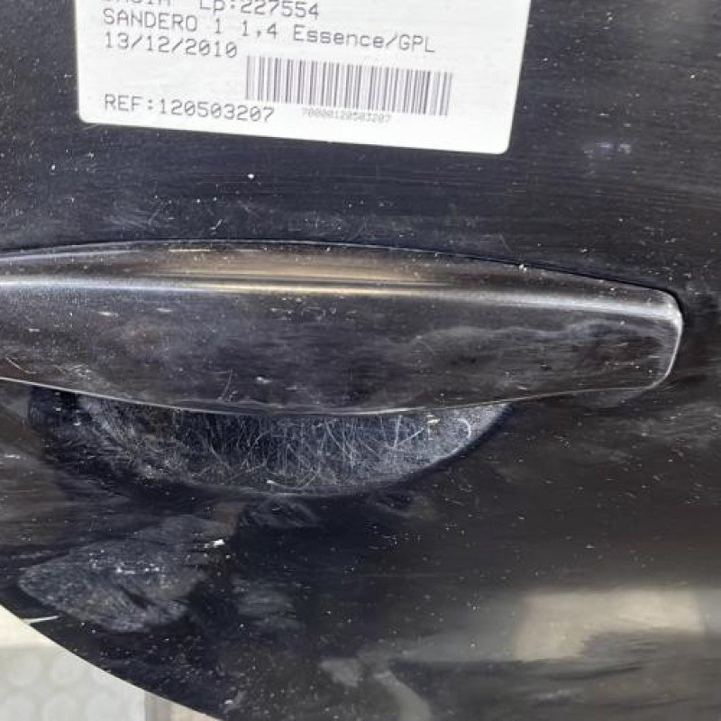 Porte arriere droit DACIA SANDERO 1 Photo n°2