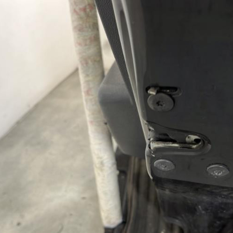 Porte arriere droit DACIA SANDERO 1 Photo n°3