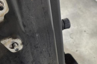 Porte arriere droit DACIA SANDERO 1