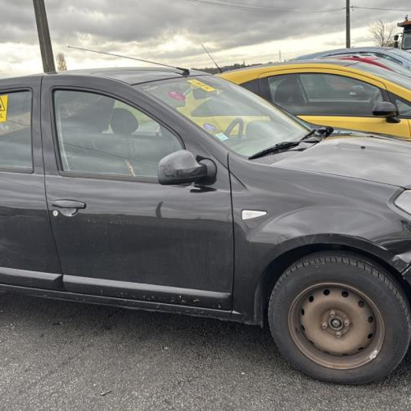 Porte arriere droit DACIA SANDERO 1 Photo n°10