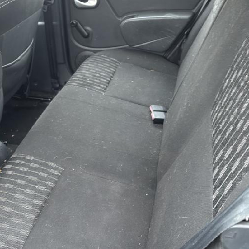 Porte arriere droit DACIA SANDERO 1 Photo n°19