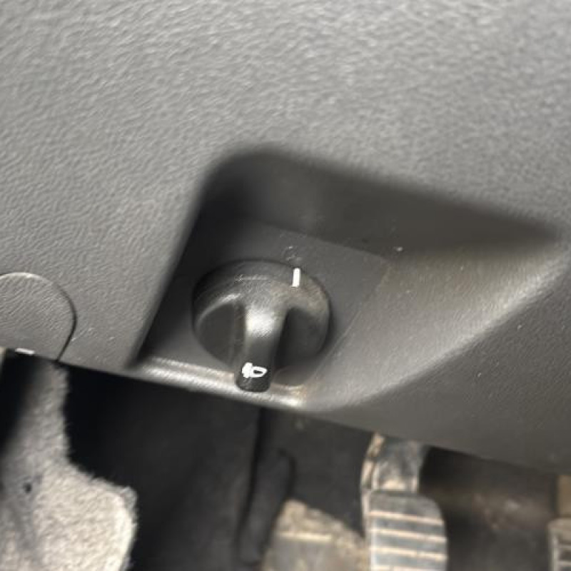 Porte arriere droit DACIA SANDERO 1 Photo n°20