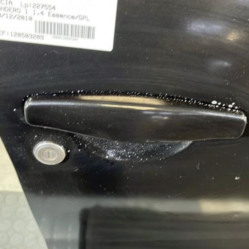 Porte avant droit DACIA SANDERO 1 Photo n°2