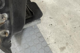 Porte avant droit DACIA SANDERO 1