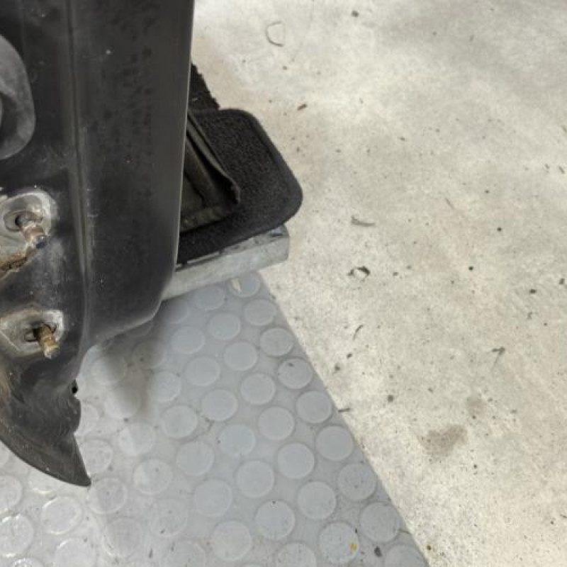 Porte avant droit DACIA SANDERO 1 Photo n°5