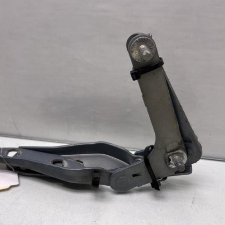 Charniere de capot FORD C-MAX 1 Photo n°1