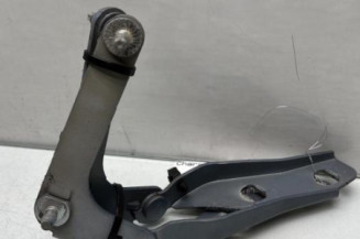 Charniere de capot FORD C-MAX 1