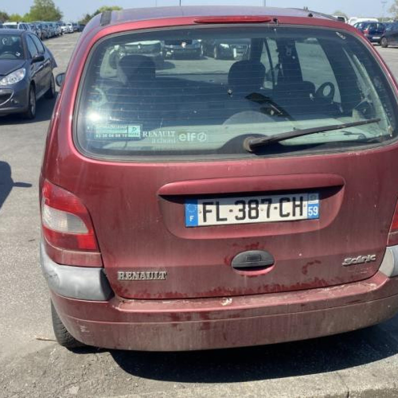 Malle/Hayon arriere RENAULT SCENIC 1 Photo n°13