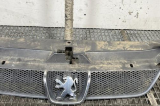 Calandre PEUGEOT 406 Photo n°1