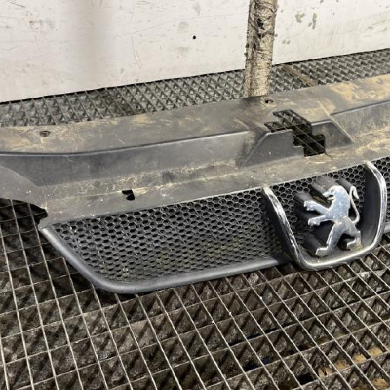 Calandre PEUGEOT 406 Photo n°2