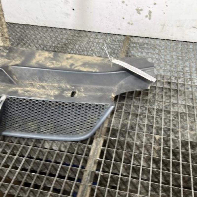 Calandre PEUGEOT 406 Photo n°3