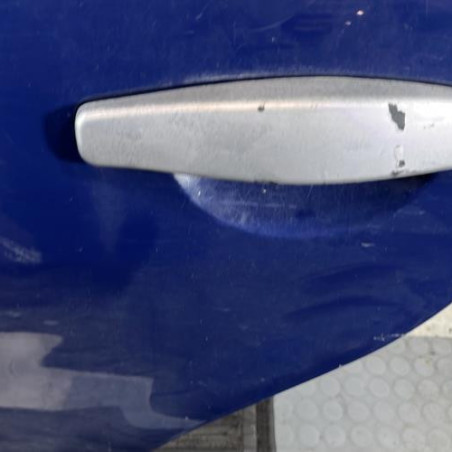 Porte arriere gauche DACIA SANDERO 1