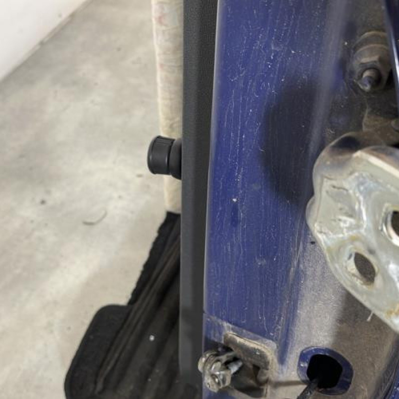 Porte arriere gauche DACIA SANDERO 1 Photo n°3