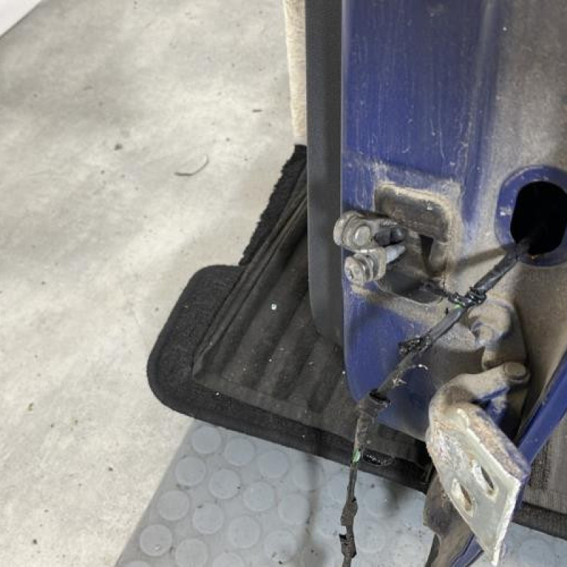 Porte arriere gauche DACIA SANDERO 1 Photo n°4