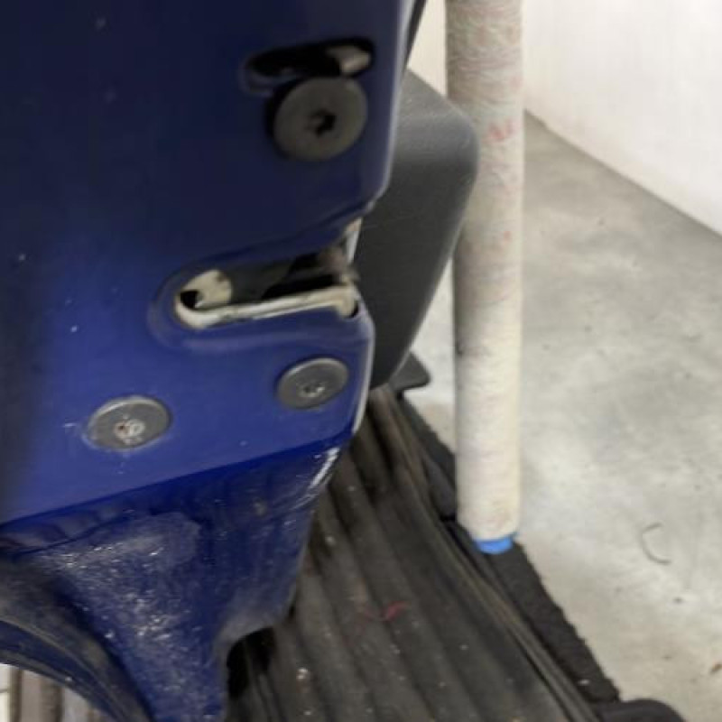 Porte arriere gauche DACIA SANDERO 1 Photo n°5