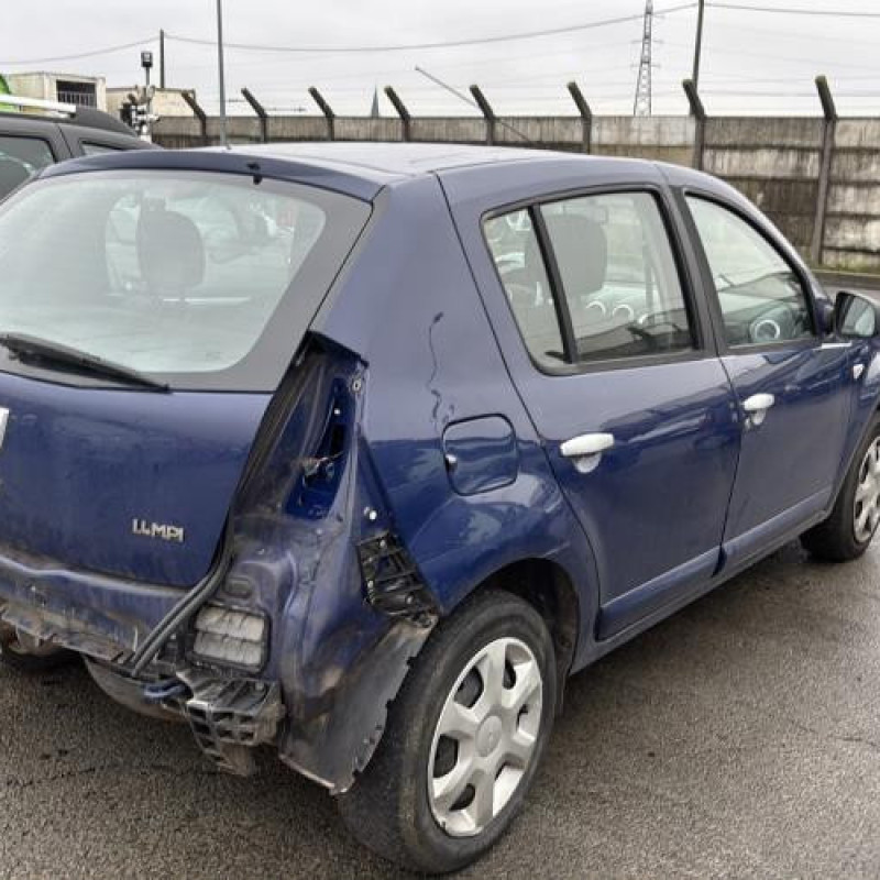 Porte arriere gauche DACIA SANDERO 1 Photo n°9