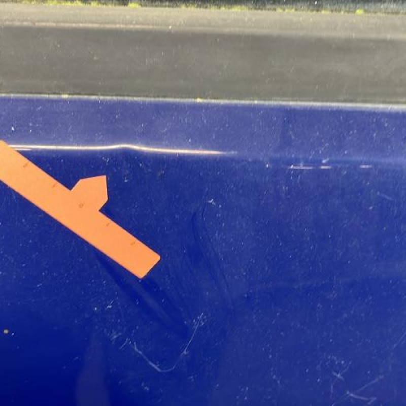 Porte avant droit DACIA SANDERO 1 Photo n°6