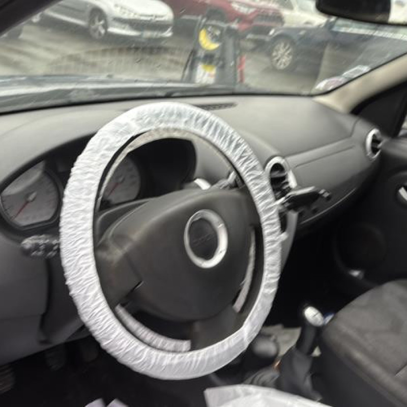 Porte avant droit DACIA SANDERO 1 Photo n°19