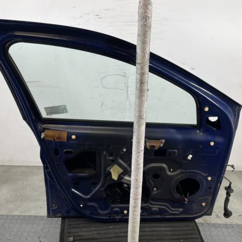 Porte avant gauche DACIA SANDERO 1 Photo n°5