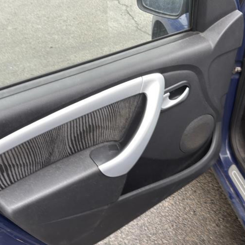 Porte avant gauche DACIA SANDERO 1 Photo n°14