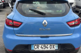 Eclairage de plafonnier RENAULT CLIO 4
