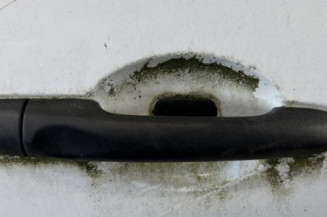 Porte arriere droit RENAULT SCENIC 3