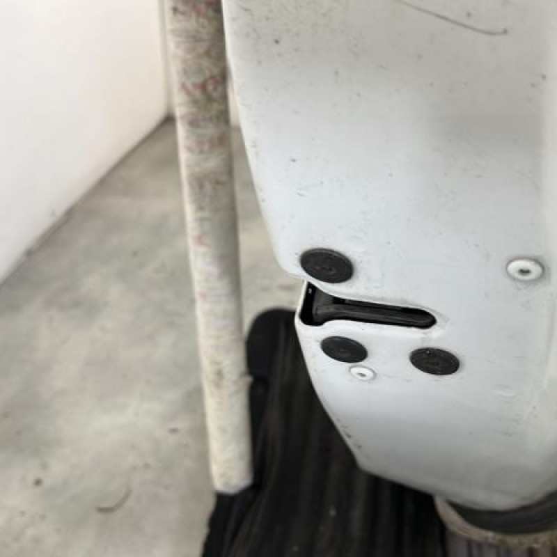 Porte arriere droit RENAULT SCENIC 3 Photo n°4