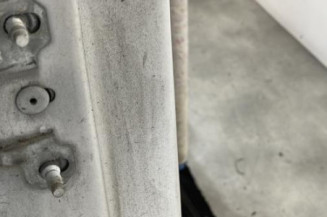 Porte arriere droit RENAULT SCENIC 3