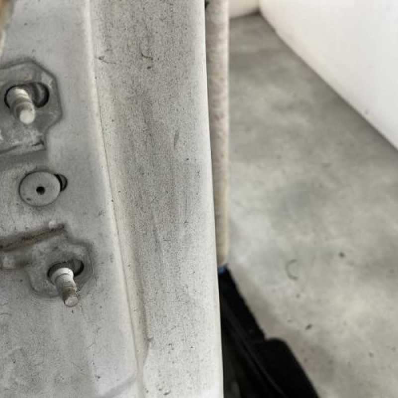 Porte arriere droit RENAULT SCENIC 3 Photo n°5