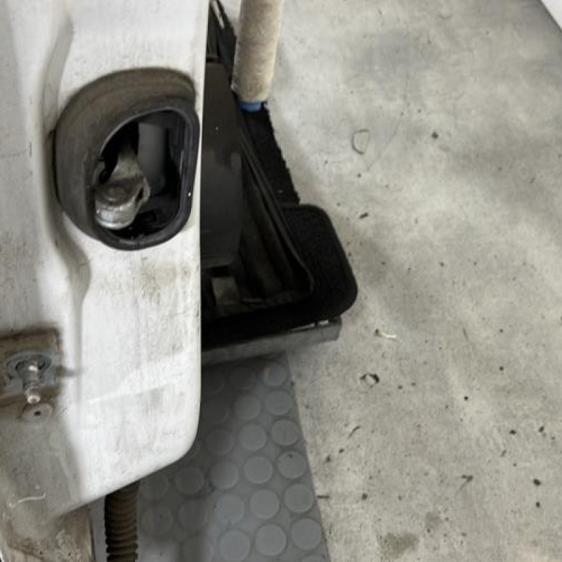 Porte arriere droit RENAULT SCENIC 3 Photo n°6