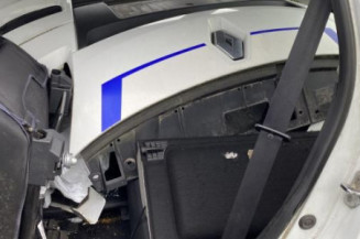 Porte arriere droit RENAULT SCENIC 3