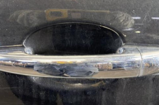 Porte arriere gauche CITROEN C3 2