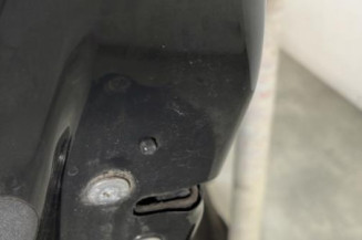 Porte arriere gauche CITROEN C3 2