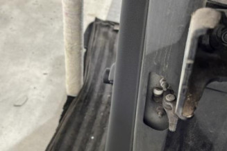 Porte arriere gauche CITROEN C3 2