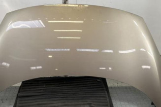 Capot RENAULT SCENIC 3 Photo n°1