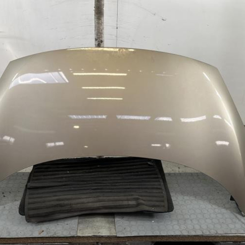 Capot RENAULT SCENIC 3 Photo n°1