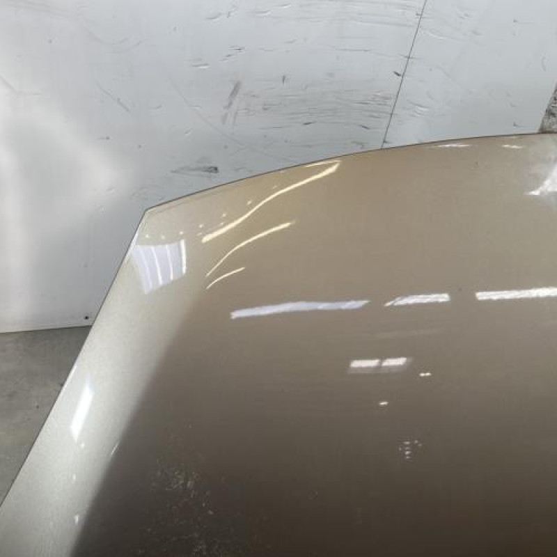 Capot RENAULT SCENIC 3 Photo n°2