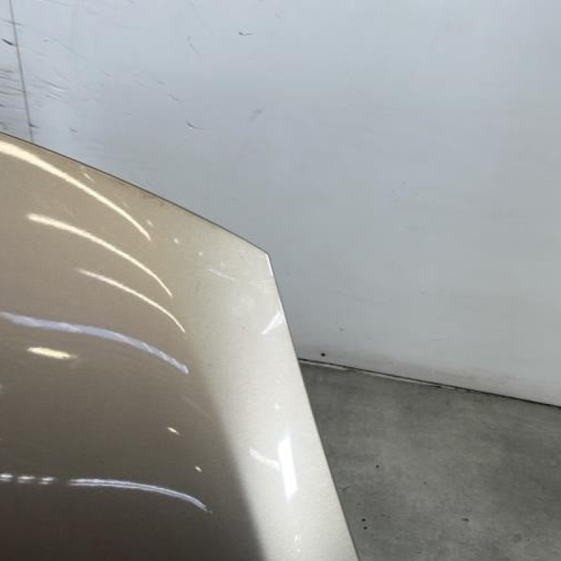 Capot RENAULT SCENIC 3 Photo n°3