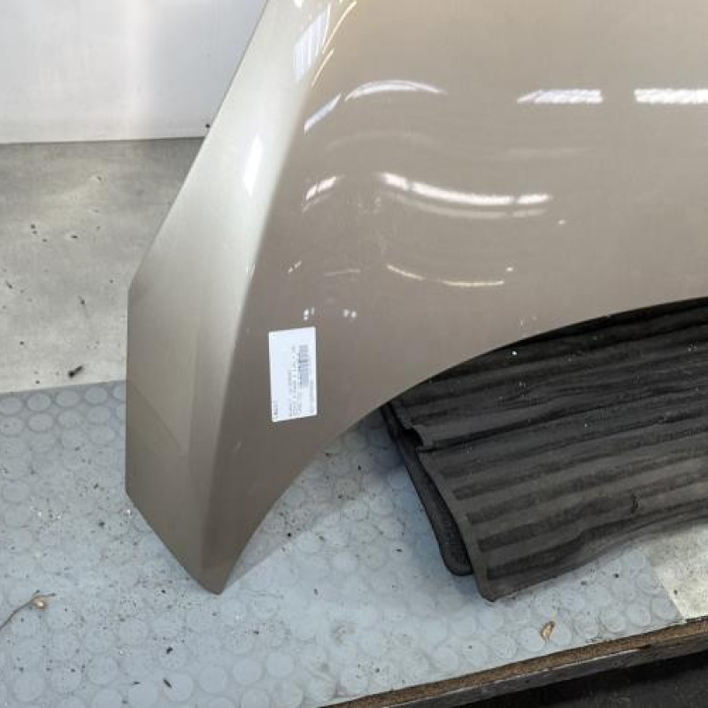 Capot RENAULT SCENIC 3 Photo n°5