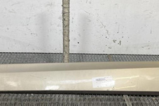 Baguette de porte avant gauche RENAULT SCENIC 3 Photo n°1
