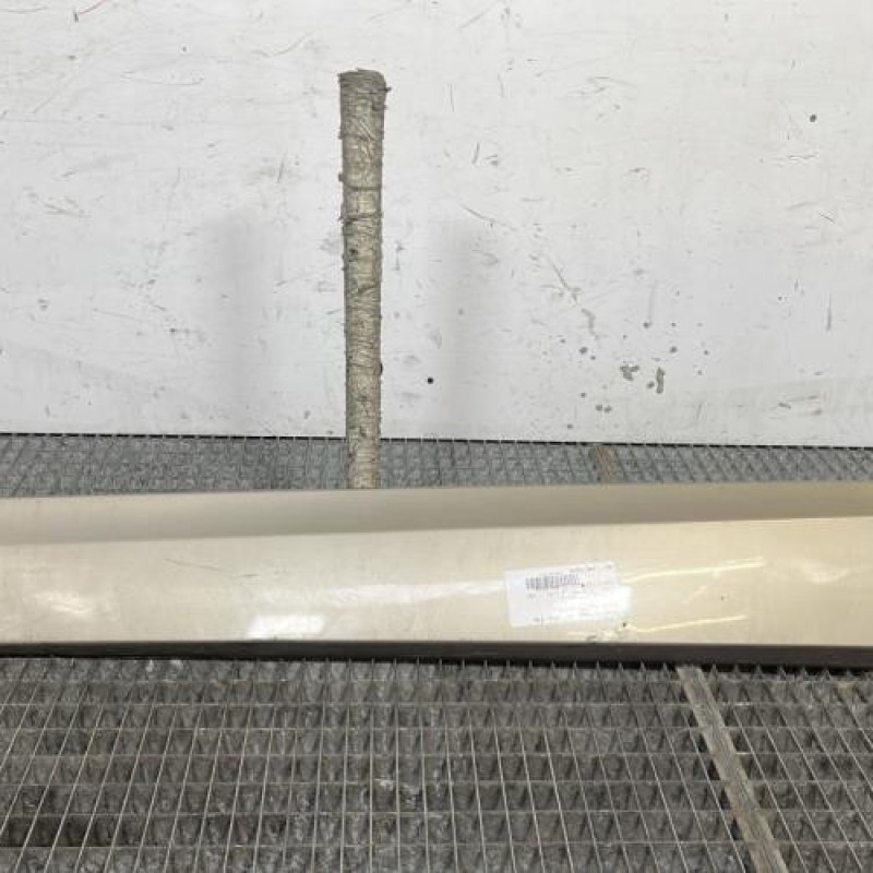 Baguette de porte avant gauche RENAULT SCENIC 3 Photo n°1