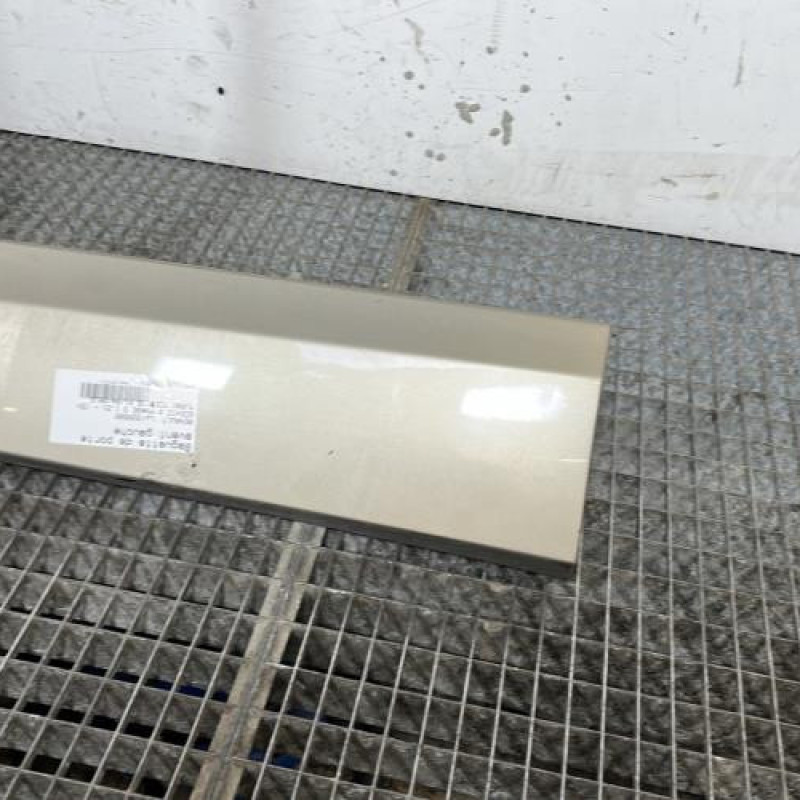 Baguette de porte avant gauche RENAULT SCENIC 3 Photo n°3