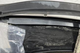 Baie de pare brise RENAULT SCENIC 3