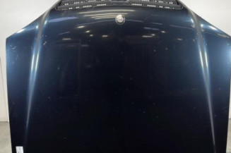 Capot MERCEDES CLASSE M 163 Photo n°1