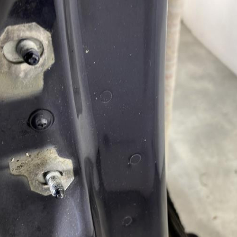 Porte arriere droit RENAULT VEL SATIS Photo n°4