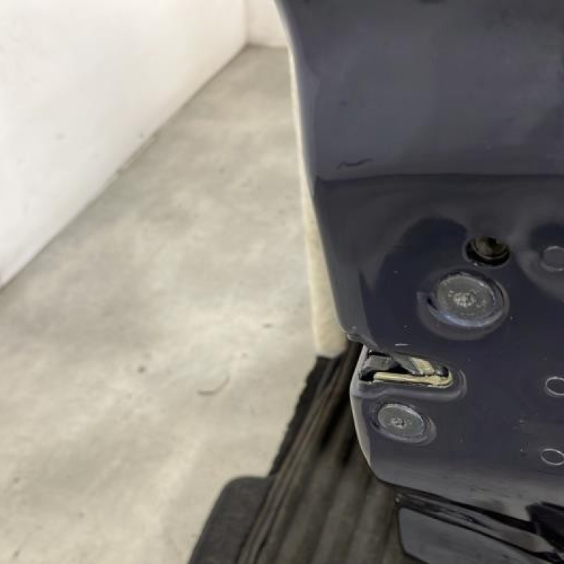 Porte avant droit RENAULT VEL SATIS Photo n°3