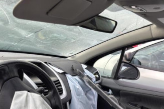 Porte arriere droit PEUGEOT 207