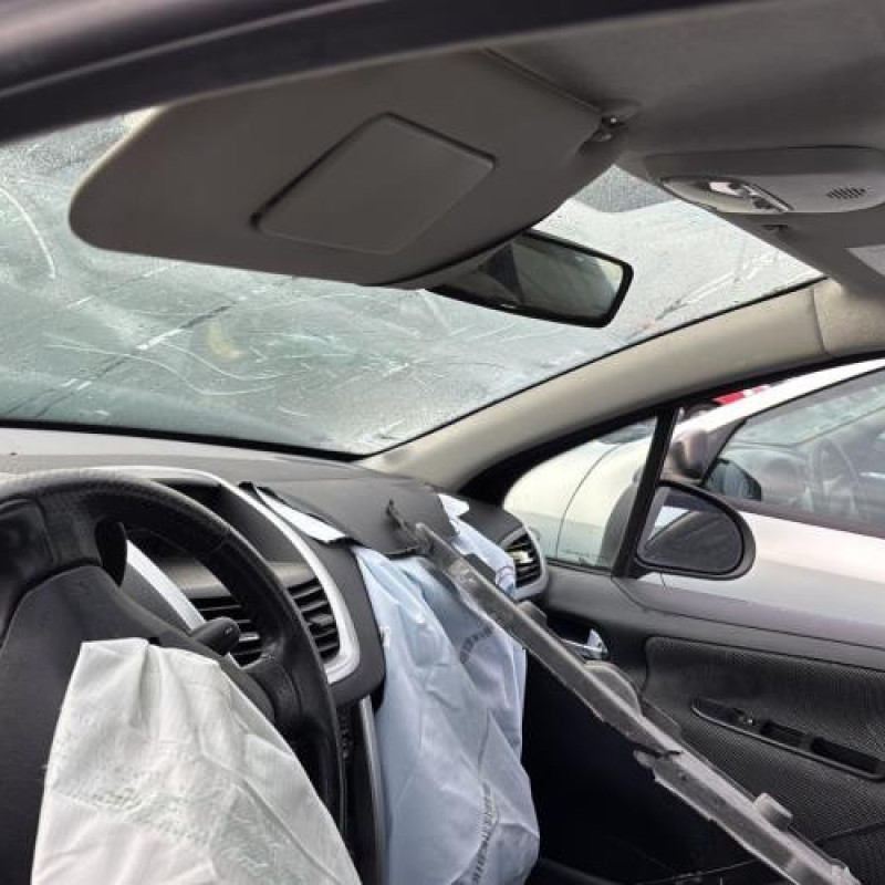 Porte arriere droit PEUGEOT 207 Photo n°19